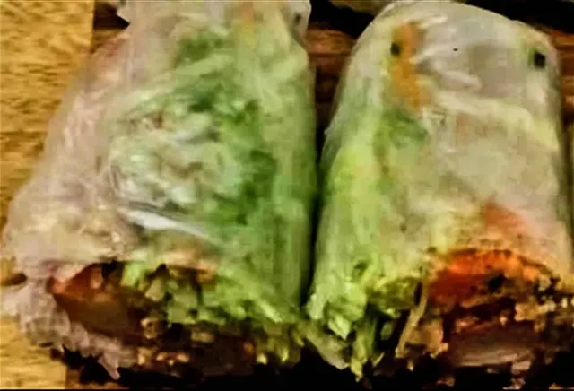 Cold spring rolls with lettuce and vegetables